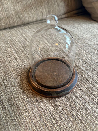 glass dome w wood base