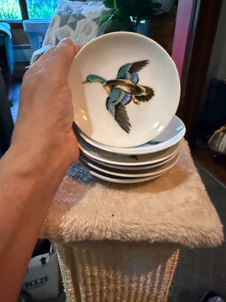 Souvenir Mini Plates (6 in Set