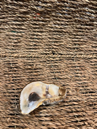 Oyster Shell Trinket Dish - Pearl