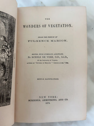 Set of 5 "Illustrated Library of Wonders" Antique Hardcover Books