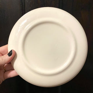 Vintage Iowa Souvenir Plate