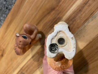 Squirrel Salt & Pepper Shakers