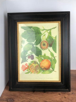 Blk and Gold Framed Botanical