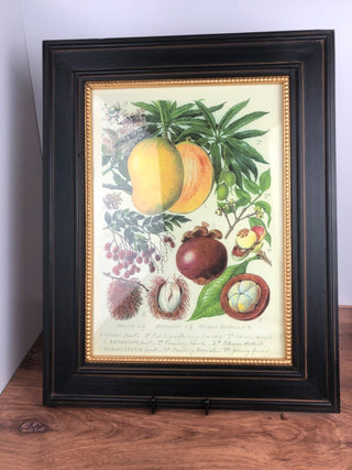 Blk & Gold Framed Botanical