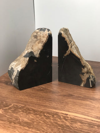 Petrified Wood Bookends