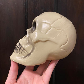 Blow Mold Skull