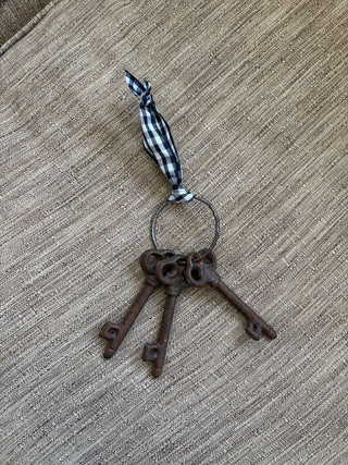 iron keys on ring