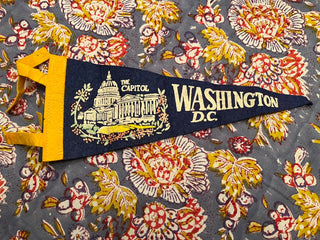 Wash DC pennant