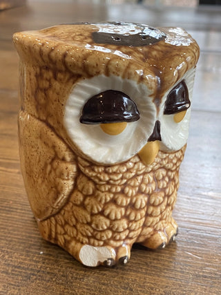 Sleepy Owl Salt & Pepper Shakers (2)