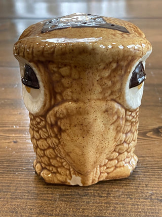 Sleepy Owl Salt & Pepper Shakers (2)