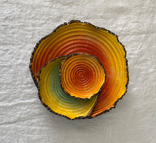 Vintage tree ring wall art. 7x7”