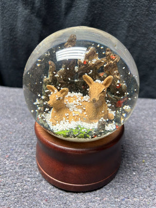 Snow Globe