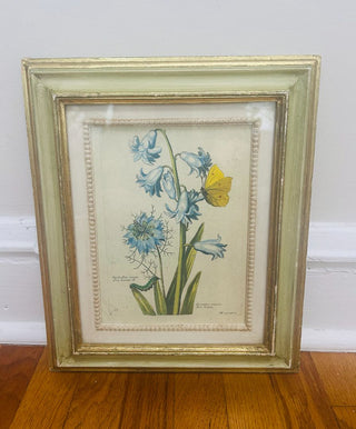 Framed Botanical Art Print