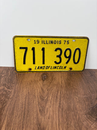 Vintage 1975 Illinois License Plate (1)