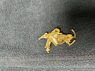 Black/gold jester pin