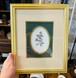 Feathered Friends Framed Bird Picture