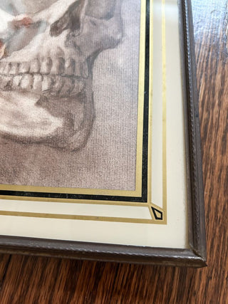 Signed Rich Seidelman 1974 Sepia Human Skull Drawing