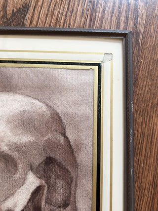 Signed Rich Seidelman 1974 Sepia Human Skull Drawing