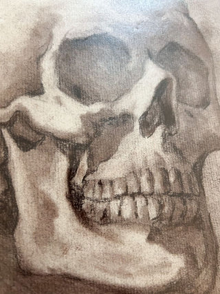 Signed Rich Seidelman 1974 Sepia Human Skull Drawing
