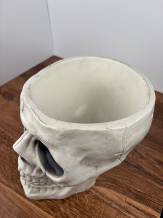 Skull Candy Bowl