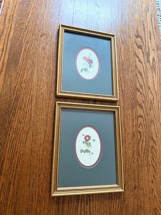 Oval Roses Botanical Print