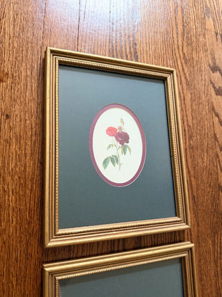 Oval Roses Botanical Print