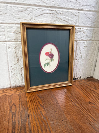 Oval Roses Botanical Print