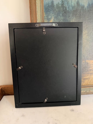 Golden Oriole Ornithological Print