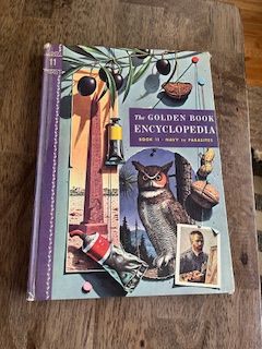 Golden Book Encyclopedia #11