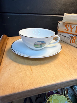 Illinois Tollway Souvenir Cup & Saucer