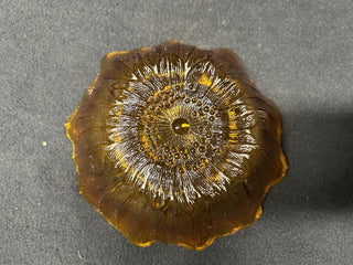 Sunflower Bottom Bowl