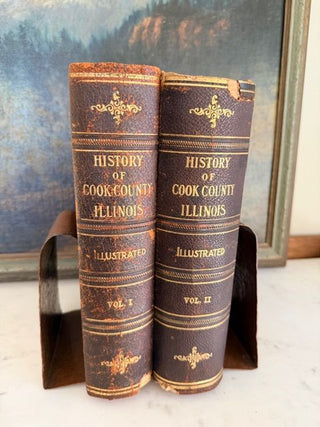 Antique Two-Volume Illustrated Set of "History of Cook County, Illinois"