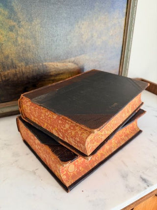 Antique Two-Volume Illustrated Set of "History of Cook County, Illinois"