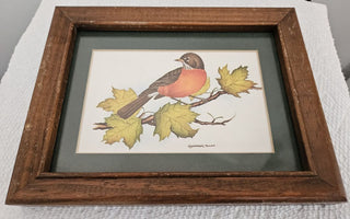 Framed Robin Print