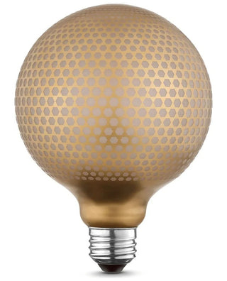 NEW- Globe Electric 35042 Moderna Luxury Oversized Frosted LED Filament Light Bulb FIRM Price is Firm