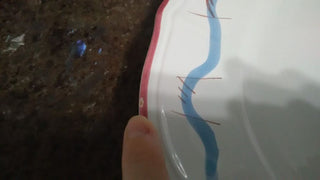 Nieman Marcus Tureen with Platter no Ladle Pink and Blue Made in Italy