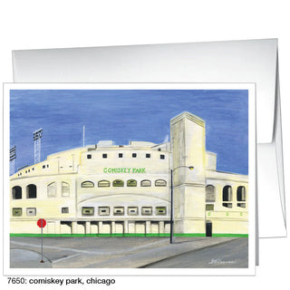 Comiskey Park Greeting Card