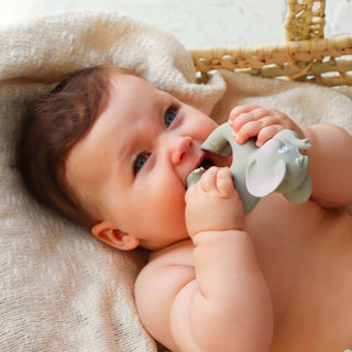 Nelly the Elephant Baby Teether & Bath Toy