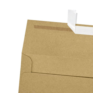 Let the Record Show I Sent You a Card - Birthday Card