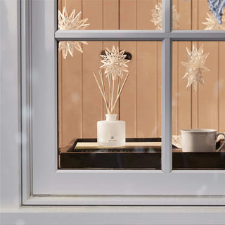 Frasier Fir Flocked Petite Reed Diffuser - New Design