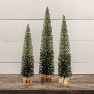 Green Ombre Bottlebrush Tree - 19"