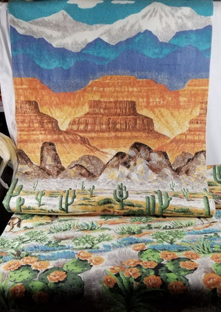 Blanket Beacon 71x82 Retro Boys Bedroom Cowboy Southwestern Cacti Desert Landscape Scene Ranch XL Twin