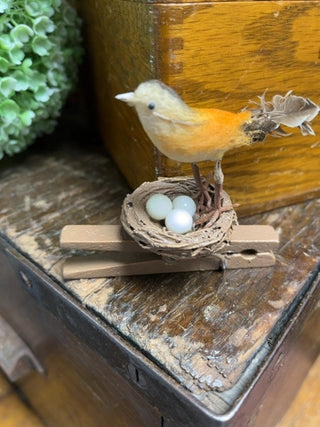 Birds nest on clothespin