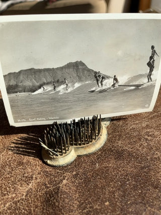 Surfing postcard