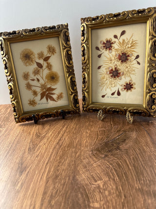 Vintage dried flowers