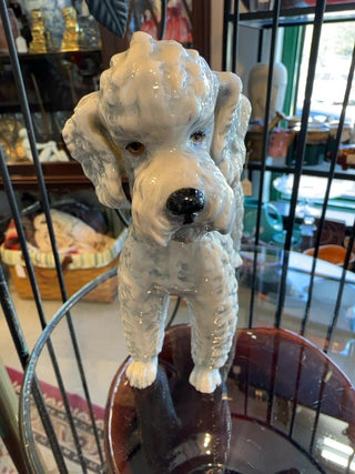 Goebel poodle