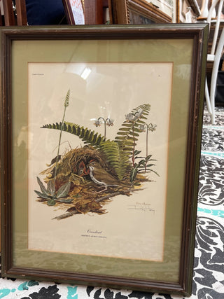 Framed Ray Harm Limited Edition Hand Signed Print "Ovenbird”