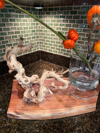 13" Organic Driftwood Branch