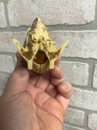 Chicken Candy dispenser