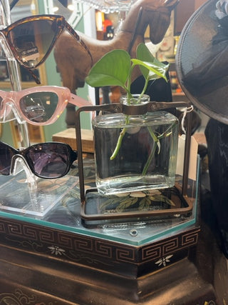 Square Apothecary Jar with Propagation